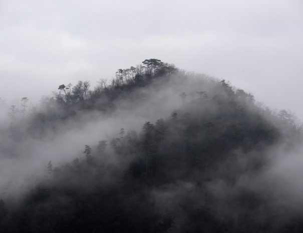 Miyama fog 1